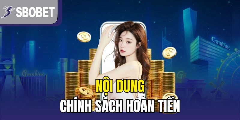 Nội dung chính sách hoàn tiền